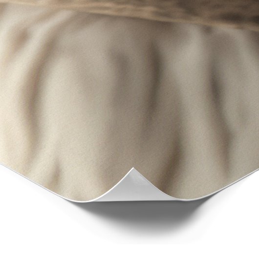 Hauptmann des Polar-Bären Poster (Ecke)