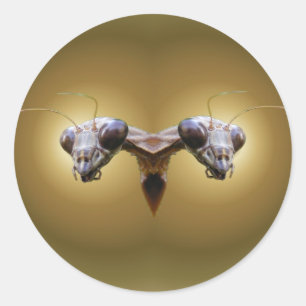 HauptMantis 2 ~ Aufkleber