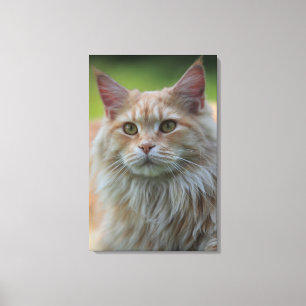 Hauptmünzkatze Leinwanddruck