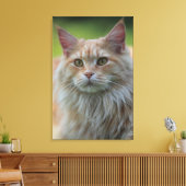 Hauptmünzkatze Leinwanddruck (Insitu (Wohnzimmer))