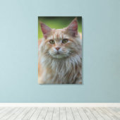 Hauptmünzkatze Leinwanddruck (Insitu (Holzboden))