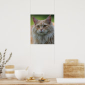 Hauptmünzkatze Poster (Küche)