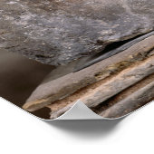 Hauptstadt der Nautes-Säule, die Cernunnos darstel Poster (Ecke)