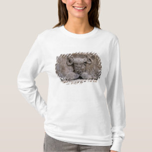 Hauptstadt der Nautes Säule, die Cernunnos T-Shirt