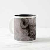 Hauptstadt der Nautes Säule, die Cernunnos Zweifarbige Tasse (Vorderseite Links)