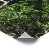 Hauptstadt Peak, Colorado Poster (Ecke)