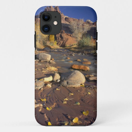 HAUPTSTADT REEF NATIONAL PARK, UT, US, Cottonwood Case-Mate iPhone Hülle (Rückseite)