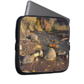 HAUPTSTADT REEF NATIONAL PARK, UT, US, Cottonwood Laptopschutzhülle (Vorne Rechts)