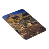 HAUPTSTADT REEF NATIONAL PARK, UT, US, Cottonwood Magnet (Rechte Seite)