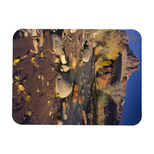 HAUPTSTADT REEF NATIONAL PARK, UT, US, Cottonwood Magnet (Horizontal)