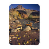 HAUPTSTADT REEF NATIONAL PARK, UT, US, Cottonwood Magnet (Vertikal)