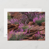 Hauptstadt Reef National Park, Utah, USA Postkarte (Vorne/Hinten)