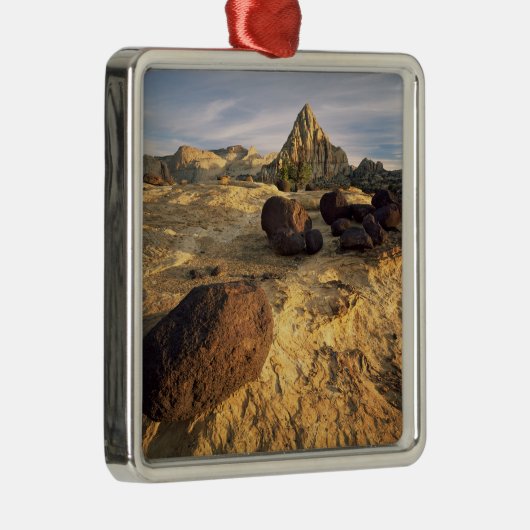 HAUPTSTADT REEF NATIONAL PARK, UTAH. USA. SILBERNES ORNAMENT (Rechts)