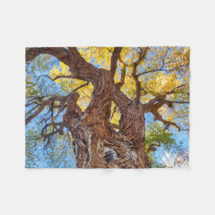 Hauptstadt Reef Nationalpark, Cottonwood Tree Fleecedecke