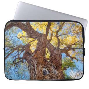 Hauptstadt Reef Nationalpark, Cottonwood Tree Laptopschutzhülle