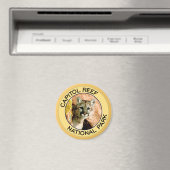 Hauptstadt Reef Nationalpark Magnet (In Situ (Geschirrspüler))