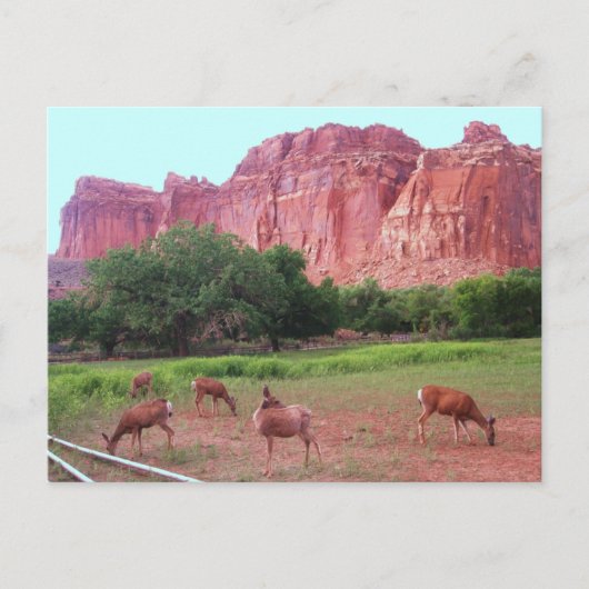 Hauptstadts-Riff-Nationalpark, UT Postkarte (Vorderseite)