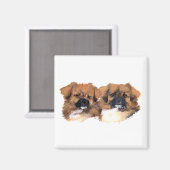 Hauptstudie für tibetische Spaniels Magnet (Vorderseite/Rückseite)