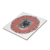 Hauptstudie zu Tartan Fliese (Seite)