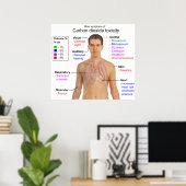 Hauptsymptome der Toxizität von Kohlendioxid Poster (Heimbüro)