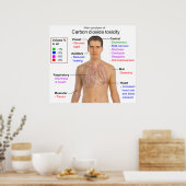 Hauptsymptome der Toxizität von Kohlendioxid Poster (Küche)