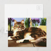 Haupttragetasche Postkarte (Vorne/Hinten)