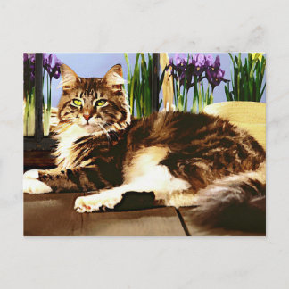 Haupttragetasche Postkarte