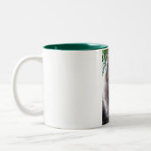 Hauptwaschbär-Katzen-Tasse Zweifarbige Tasse (Links)