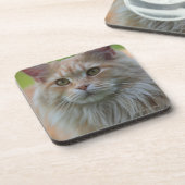 Hauptwaschbärkatze Getränkeuntersetzer (Linke Seite)