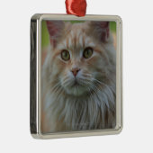 Hauptwaschbärkatze Ornament Aus Metall (Rechts)