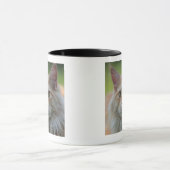 Hauptwaschbärkatze Tasse (Zentrum)