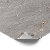 Haus auf Pfählen am Strand von St. Peter Ording Poster (Ecke)