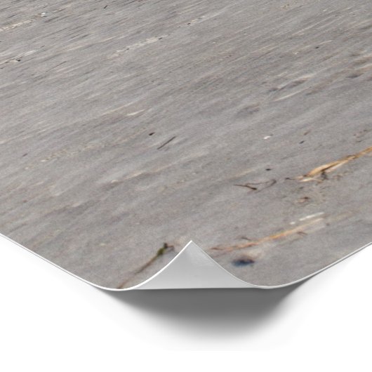 Haus auf Pfählen am Strand von St. Peter Ording Poster (Ecke)