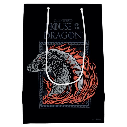 HAUS DES DRAGONS | Drachenprofil in Flammen Mittlere Geschenktüte (Rückseite)