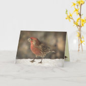 Haus-Fink-Geburtstag Karte (Gelbe Blume)