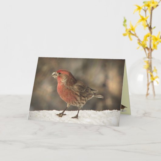 Haus-Fink-Geburtstag Karte (Gelbe Blume)