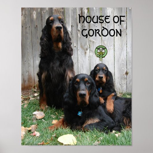 HAUS GORDON Gordon Setter Generations Poster (Vorne)