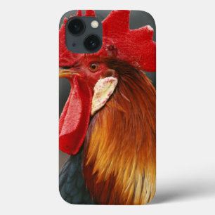 Haus Hahn Case-Mate iPhone Hülle