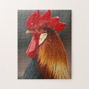 Haus Hahn Puzzle