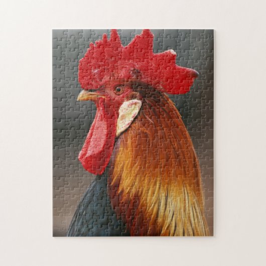 Haus Hahn Puzzle (Vertikal)