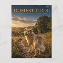 Haus Hund Landweg TIERE