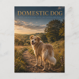 Haus Hund Landweg TIERE Postkarte