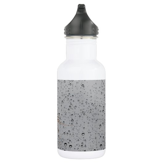 HAUS-HUNDERTFÜSSER EDELSTAHLFLASCHE (Rechts)