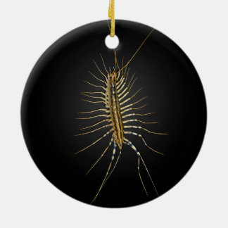 Haus-HundertfüßerScutigera Coleoptrata Keramik Ornament