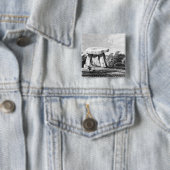 Haus Kitts Cotty Button (Beispiel)