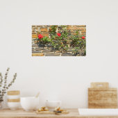 Haus mit Rose am sonnigen Tag Poster (Küche)