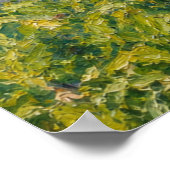 Haus mit Rosen Poster (Ecke)
