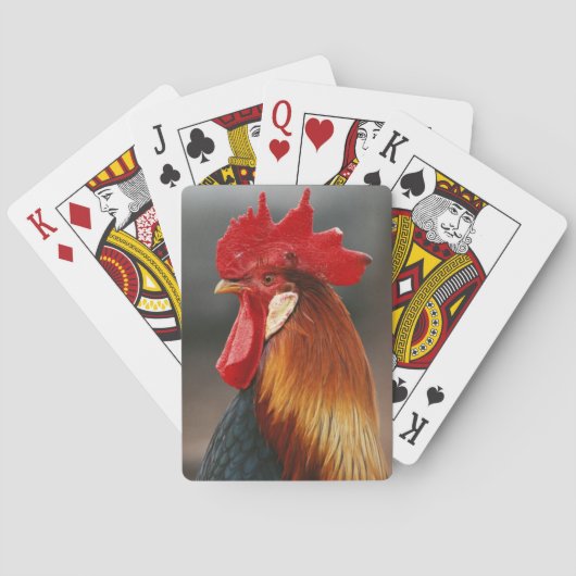 Haus- oder Hofhahn Spielkarten (Rückseite)
