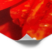 Haus Orange dahlia Poster (Ecke)