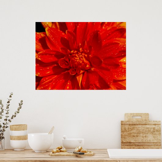 Haus Orange dahlia Poster (Küche)